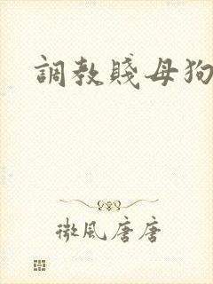 调教贱母狗sm