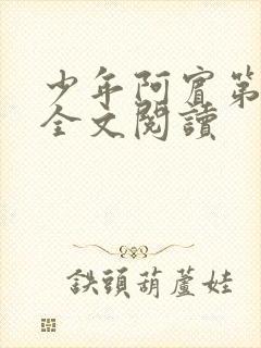 少年阿宾第一章全文阅读封面