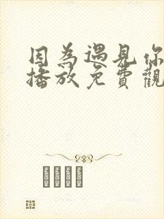 因为遇见你在线播放免费观看西瓜封面