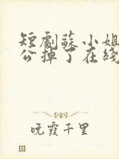 短剧苏小姐你老公掉了在线观看