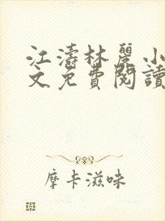 江涛林丽小说全文免费阅读最新章节