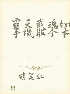 霸天武魂txt手机版全本txt