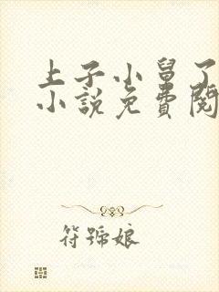 上子小舅了老婆小说免费阅读