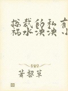 总裁的私有宝贝祸水泱泱 小说免费阅读