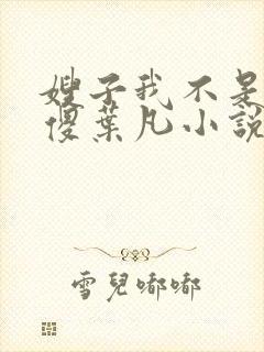 嫂子我不是真的傻叶凡小说免费阅读封面