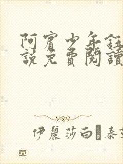 阿宾少年钰慧小说免费阅读笔趣阁