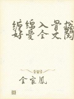 缠绵入骨总裁好好爱全文阅读免费封面