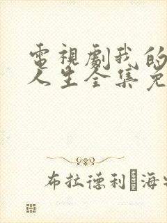 电视剧我的灿烂人生全集免费观看