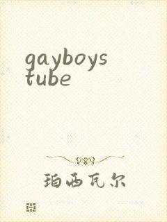 gayboystube封面
