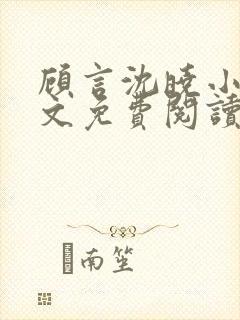 顾言沈晓小说全文免费阅读