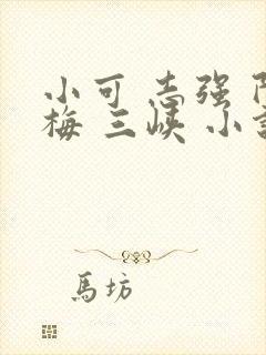 小可 志强 阿梅 三峡 小说免费阅读