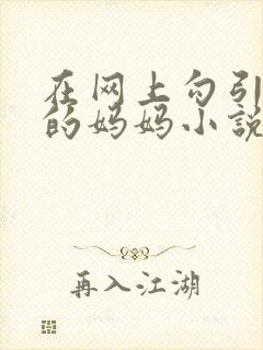 在网上勾引儿子的妈妈小说封面