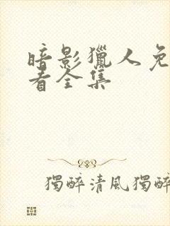 暗影猎人免费观看全集