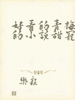 好看的青梅竹马的小说甜宠文