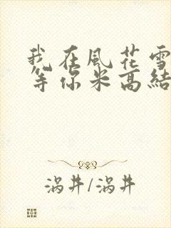 我在风花雪月里等你米高结局