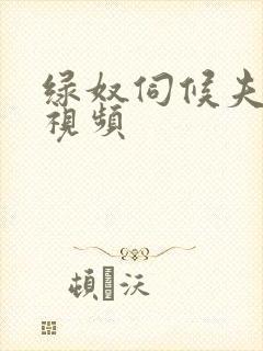 绿奴伺候夫妻主视频