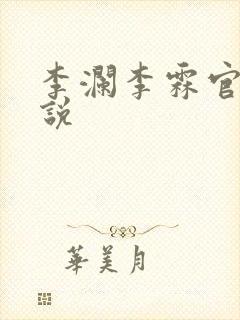 李澜李霖官场小说