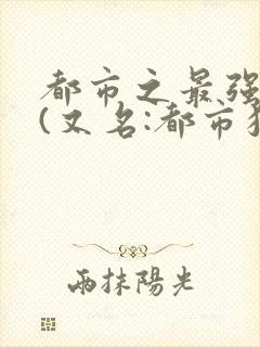 都市之最强狂兵(又名:都市狂枭) 大红大紫