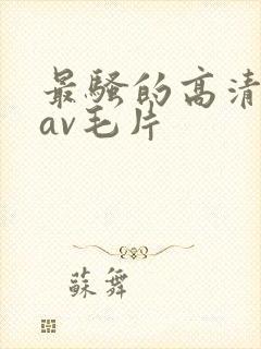 最骚的高清免费av毛片