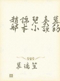 赵锦儿秦慕修是哪本小说的主角