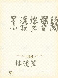 星汉灿烂的原著小说免费阅读封面