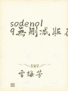 sodeno19无删减版在线播放