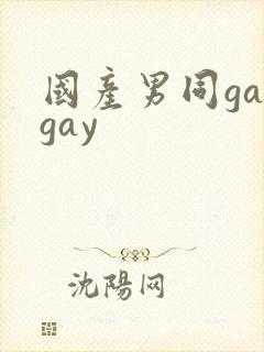 国产男同gaygay