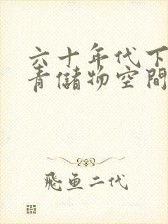 六十年代下乡知青储物空间