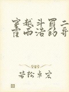 穿越斗罗二成为霍雨浩的哥哥