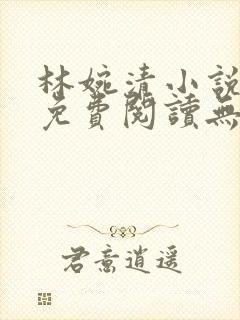 林婉清小说全文免费阅读无弹窗