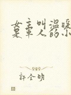 女主叫温暖男主是军人的小说