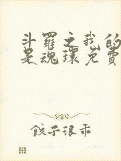 斗罗之我的武魂是魂环免费阅读