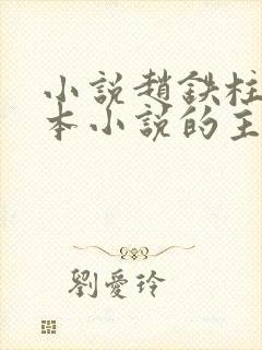 小说赵铁柱是哪本小说的主人公