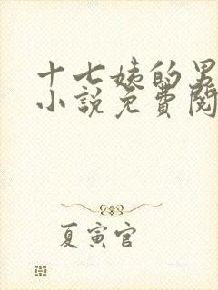 十七姨的男丫鬟小说免费阅读无弹窗