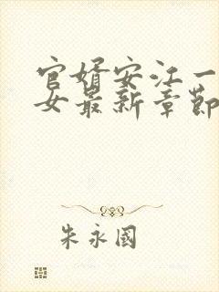 官婿安江一母三女最新章节免费阅读