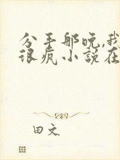 分手那晚,我们很疯小说在线阅读