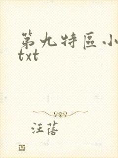 第九特区小说.txt封面