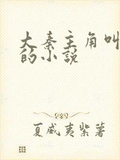 大秦主角叫赵浪的小说