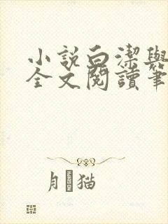 小说白洁与高义全文阅读笔趣阁封面