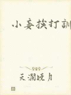 小妾挨打训诫文