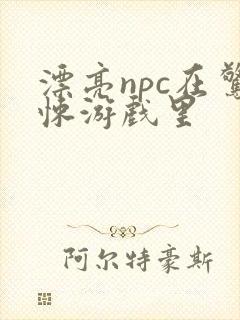 漂亮npc在惊悚游戏里封面