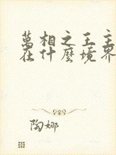 万相之王主角现在什么境界