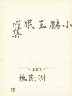 催眠王鹏小说合集