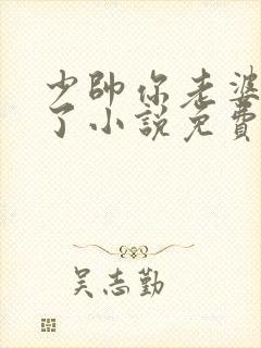 少帅你老婆又跑了小说免费