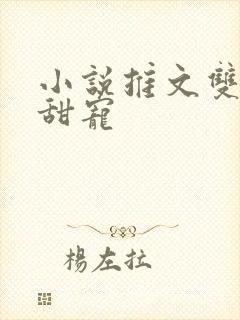 小说推文双男主甜宠