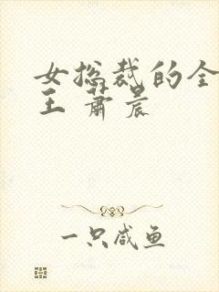 女总裁的全能兵王 萧晨