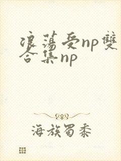 浪荡受np双性合集np