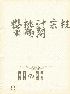 樱桃汁宋枝江野笔趣阁封面