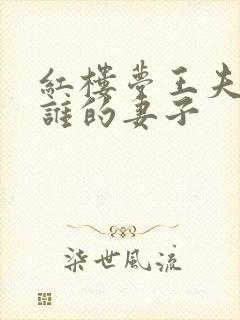 红楼梦王夫人是谁的妻子封面