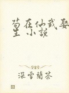 苟在仙武娶妻长生 小说封面